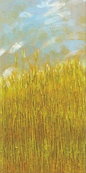 <span> <br/>Cod: AH1110023 <br/> (70 X 140)</span>