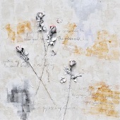 <span> <br/>Cod: AH1204012 <br/> (120 X 120)</span>